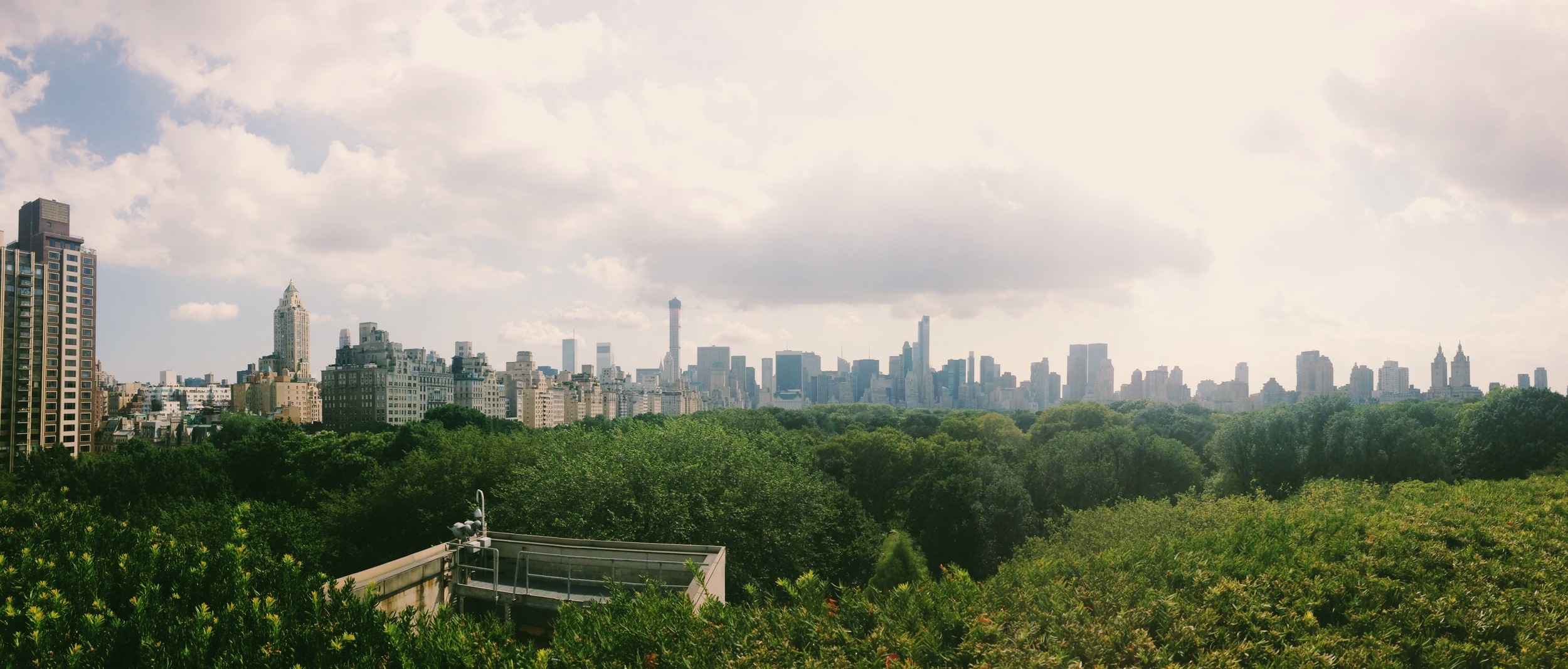  View from the terrace at the Met 