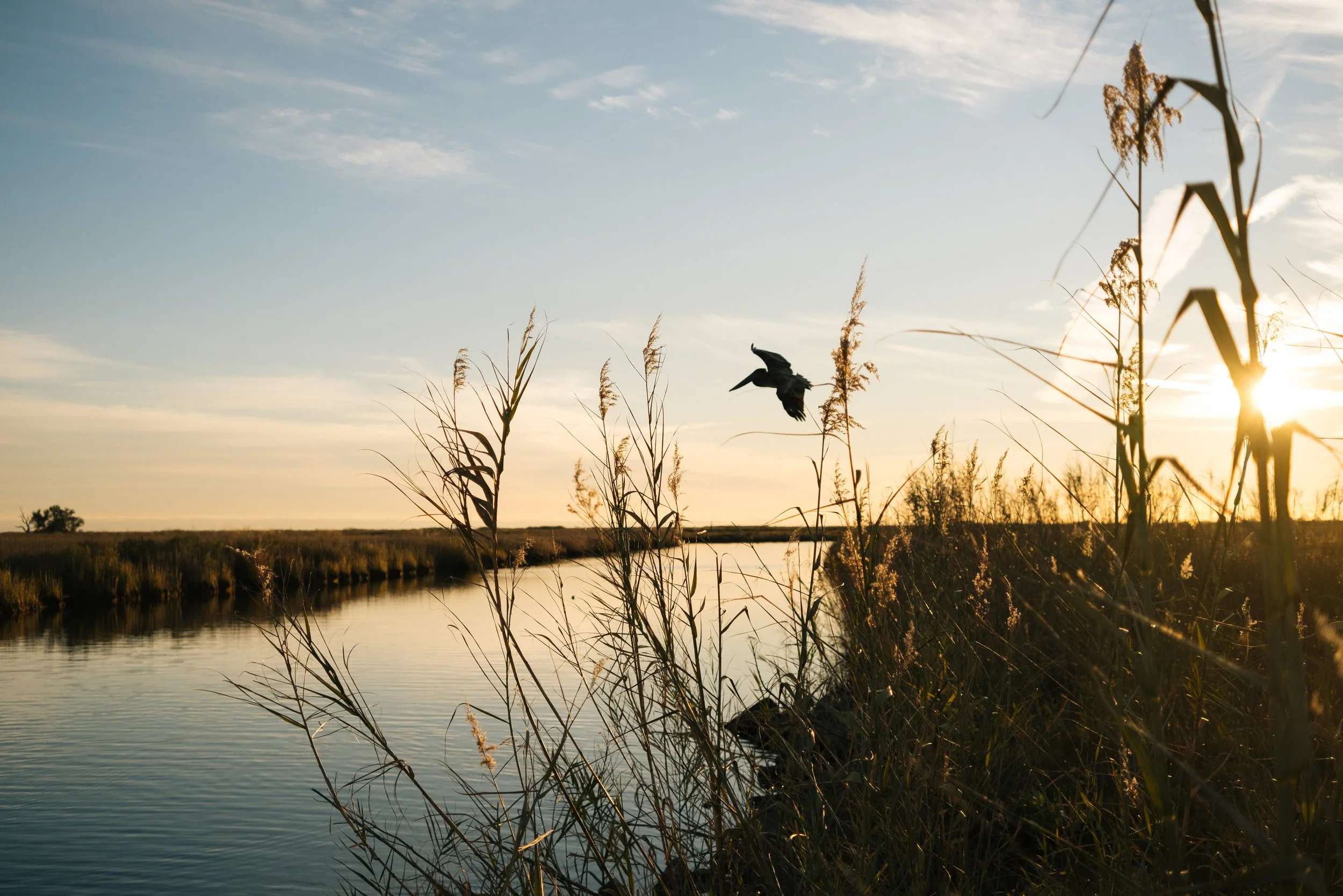 Fishing_80.jpg