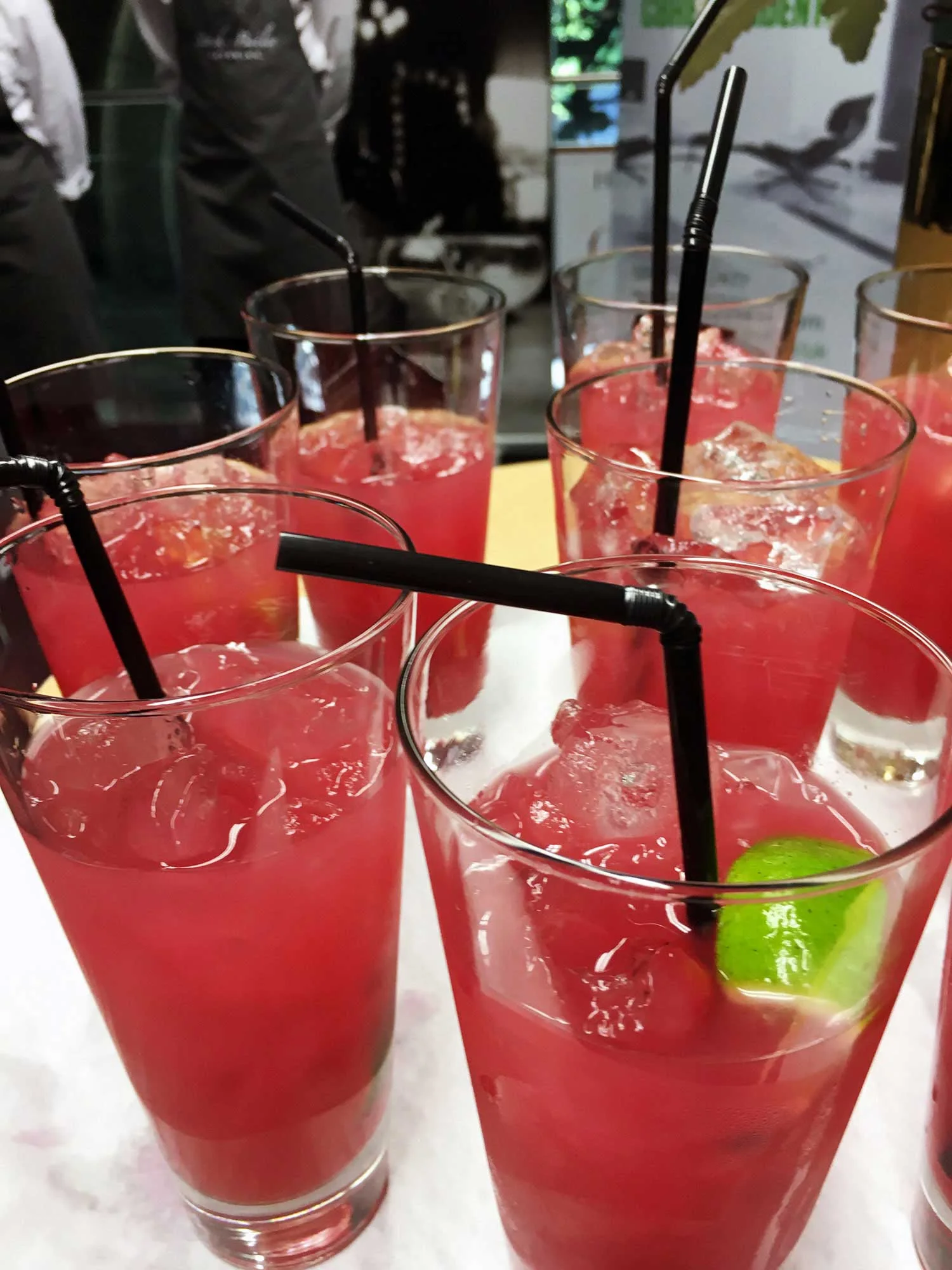 Delicious cocktails and canapés by Stock & Bailey Catering with Wild Knight Vodka