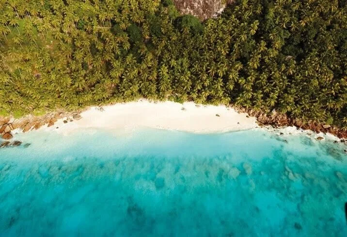 fregate-island-aerial-beach.jpg