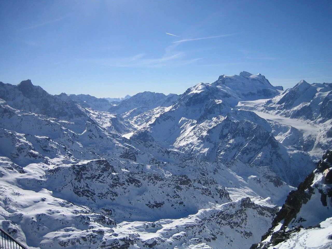 the-bella-coola-estate-banner.jpg