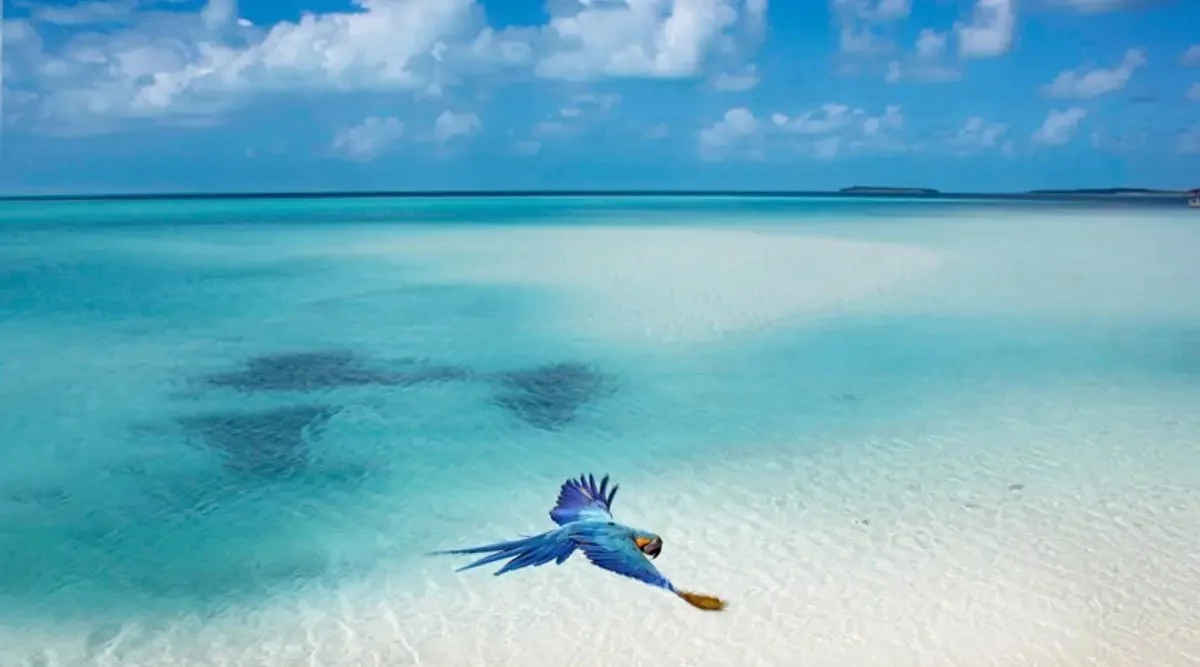 Musha_Cay (17).jpg