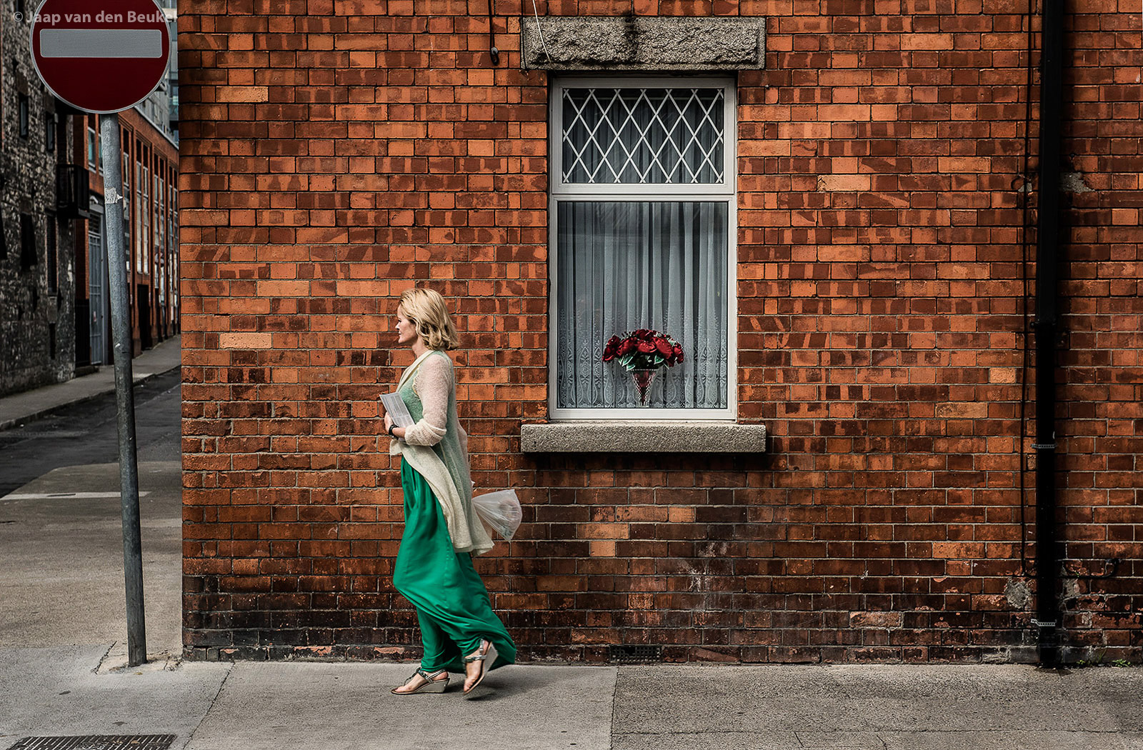 Dublin "Red roses"