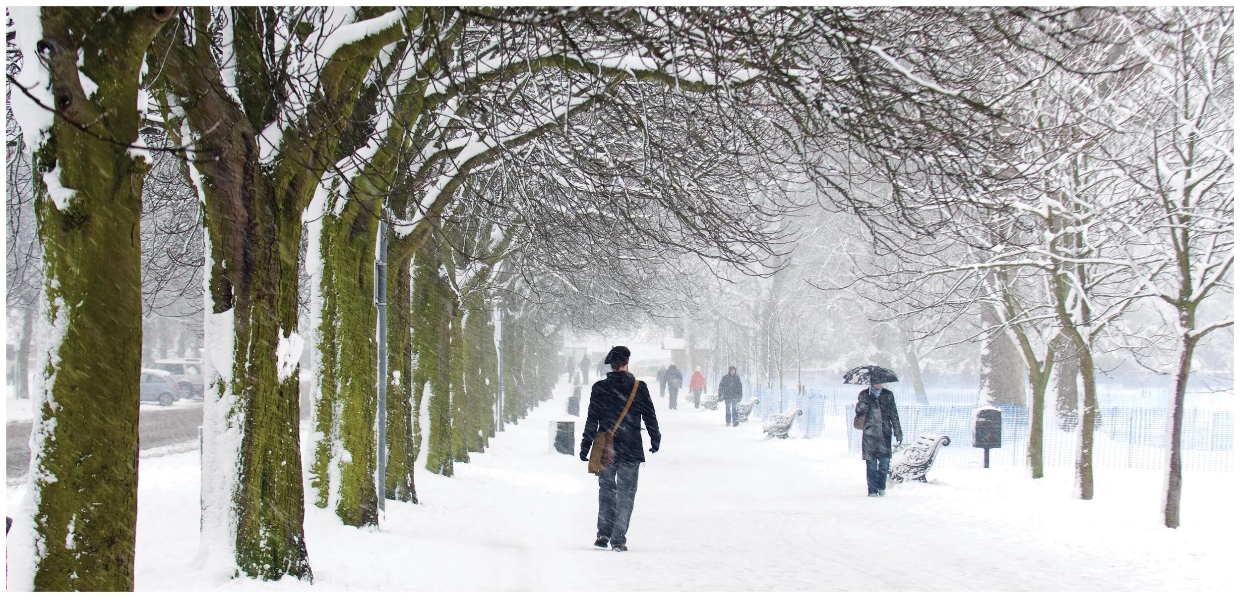 Morning Stroll - Greenwich Park, London