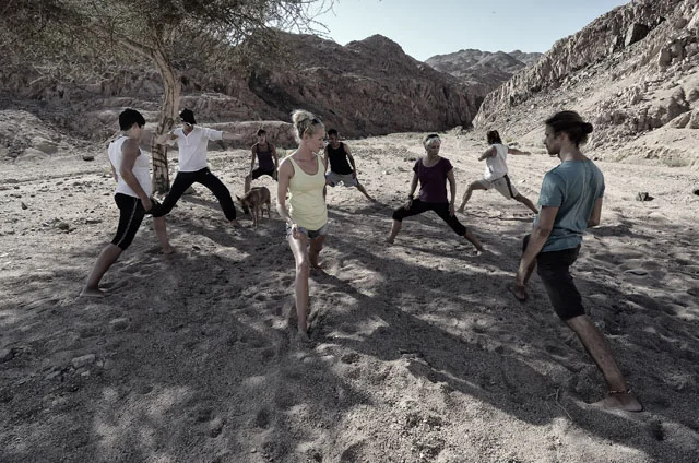 dyd-group-desert-yoga.jpg