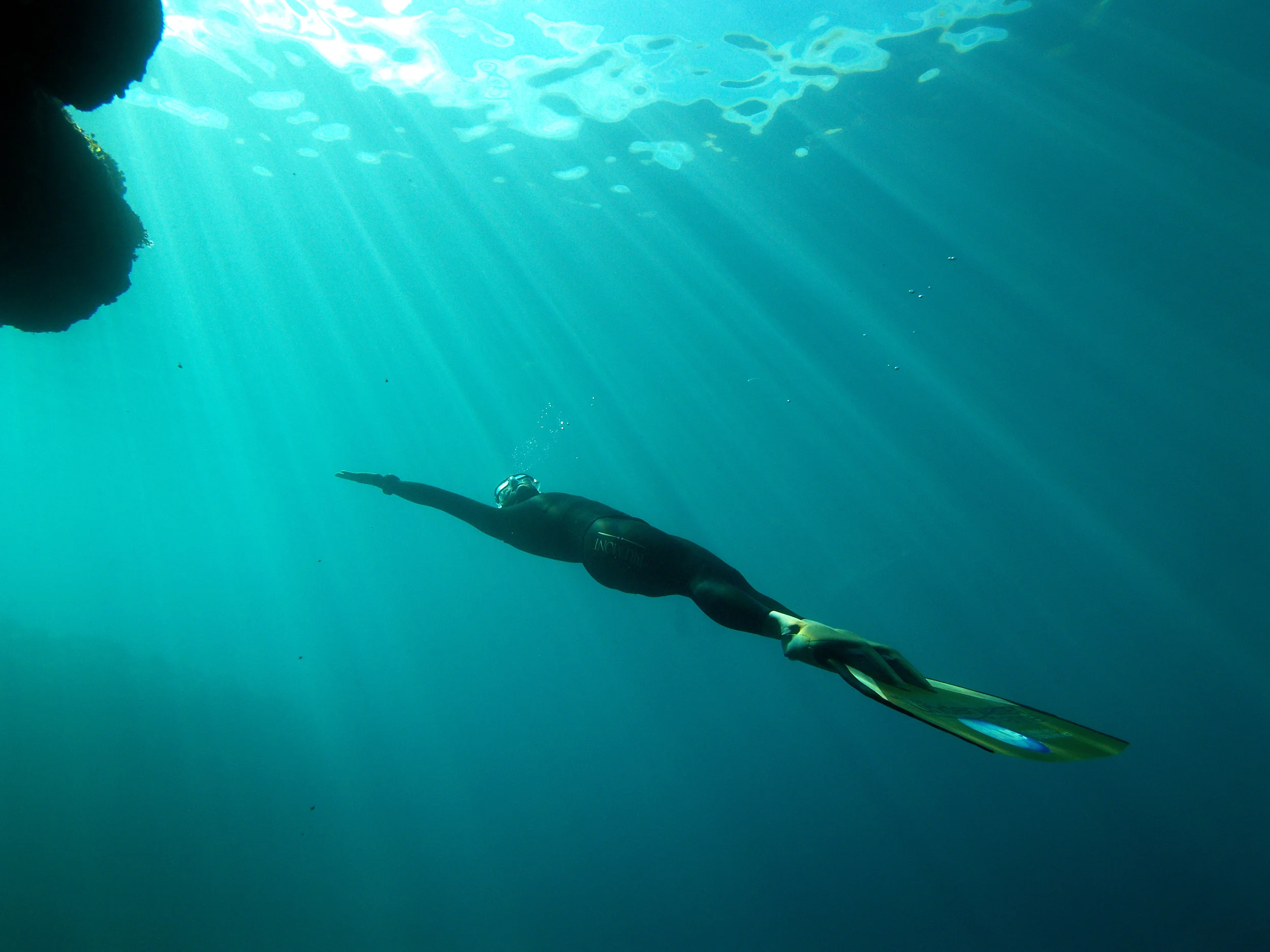 Enjoying the water -- Photo: Igor Liberti