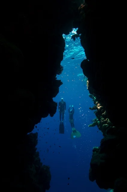 Diving Bells -- Photo: Dan Burton