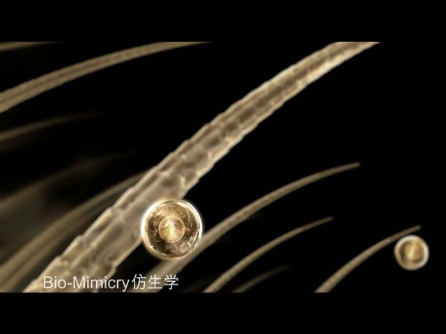 Pantene 30sec 06Feb2012