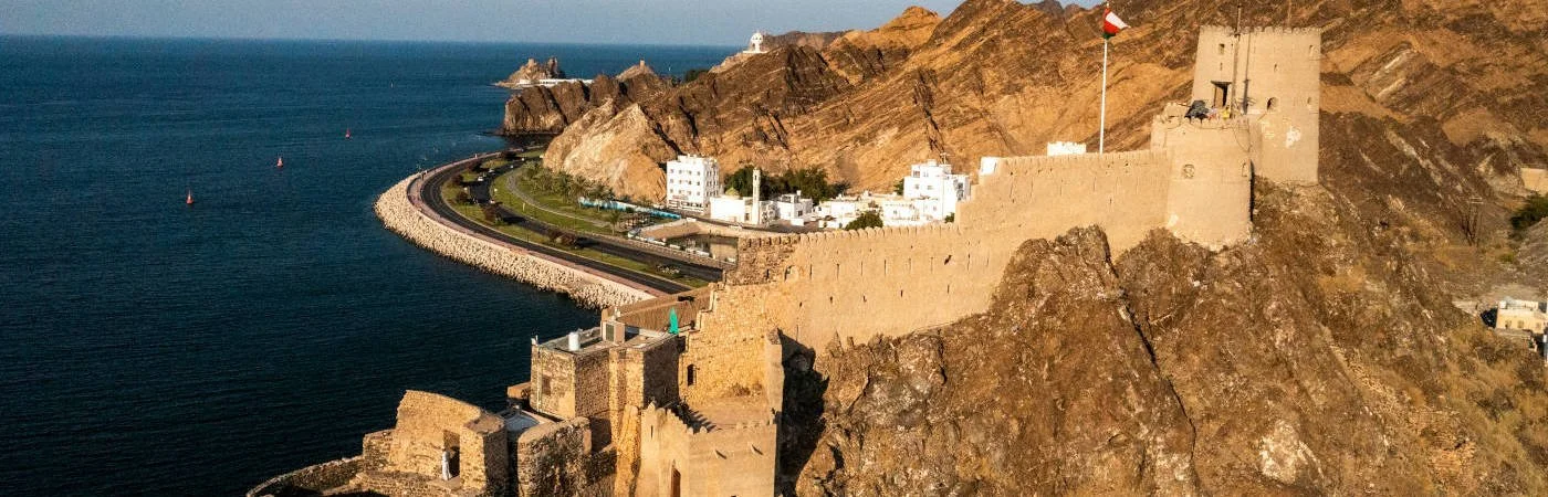 IATIS 8th International Conference, Muscat, Oman