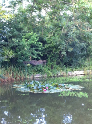 Pond next to Charleston House with reclining statue