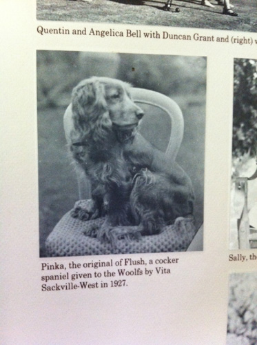 Inspiration for Woolf's fiction Flush