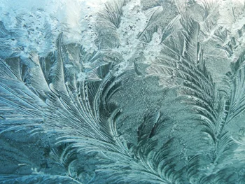 "Fronds of ice have all blown in one direction, creating feathers"