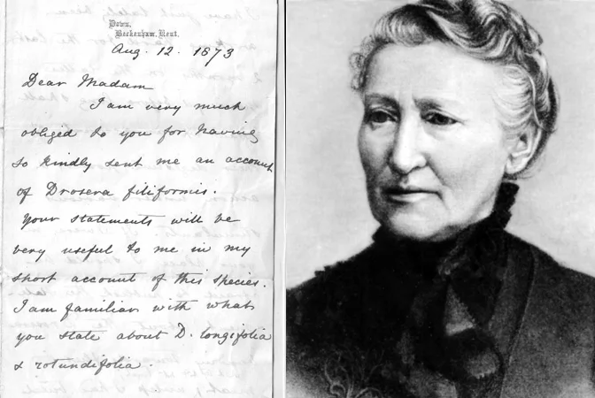 Scientist Mary Treat and a letter Darwin wrote to her.