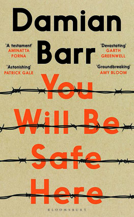 You Will be Safe Here Damian Barr.jpeg