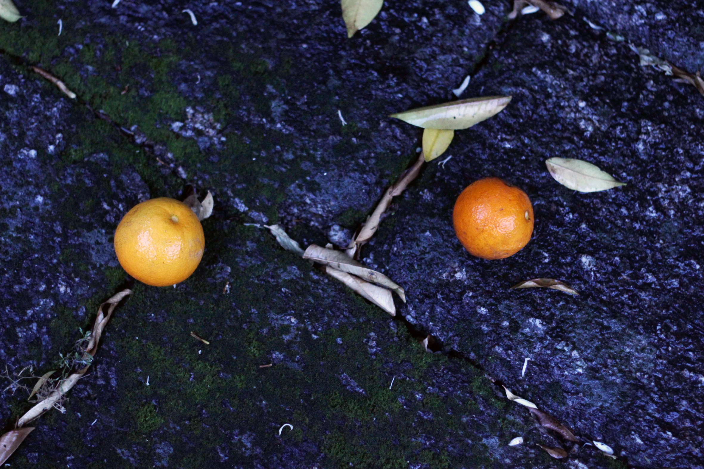 apelsin sten regn.jpg