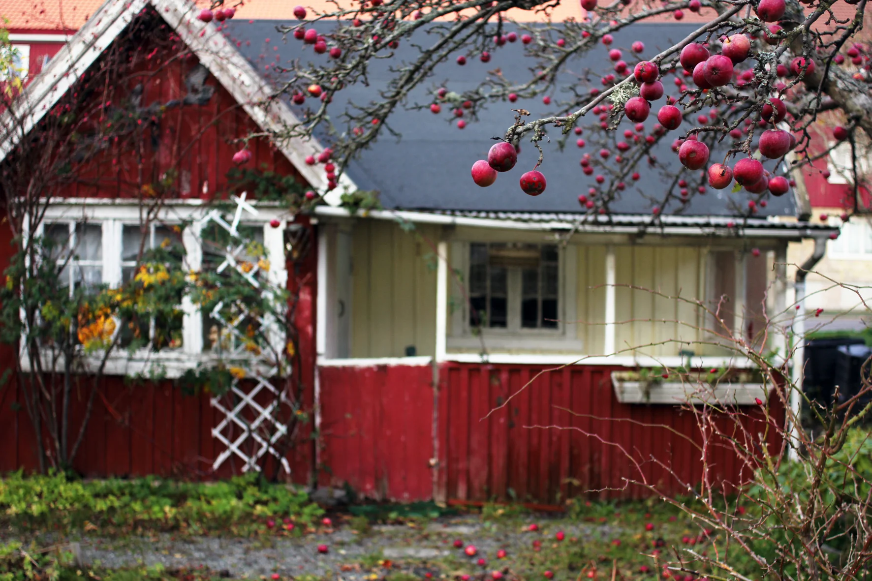 äppelhus.jpg