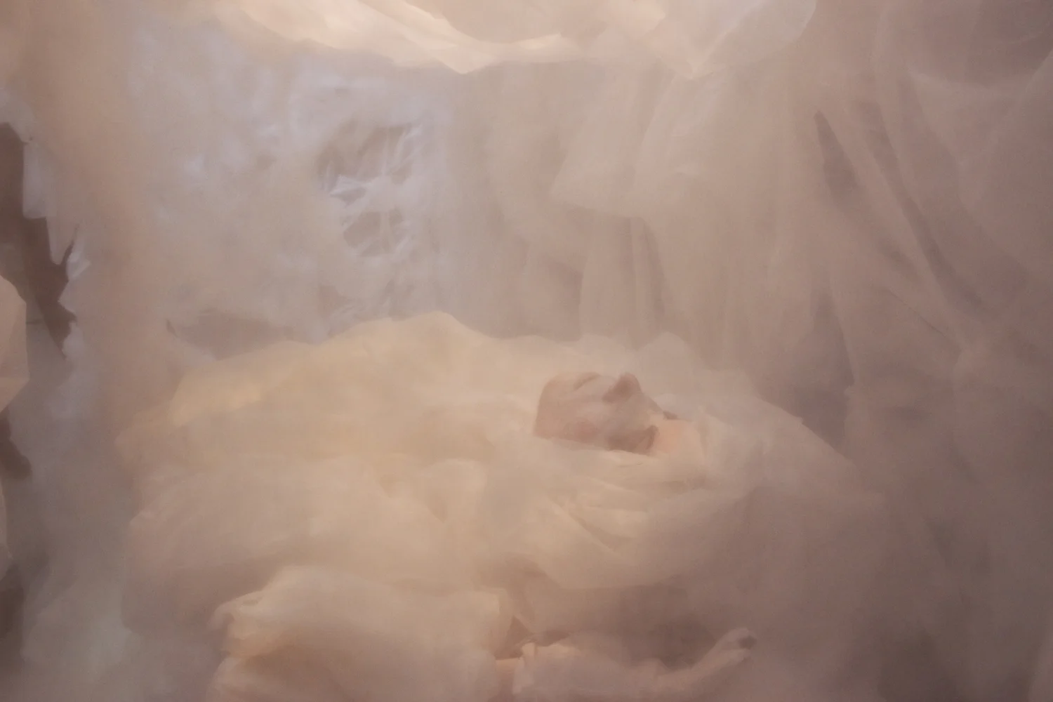dreamy.jpg