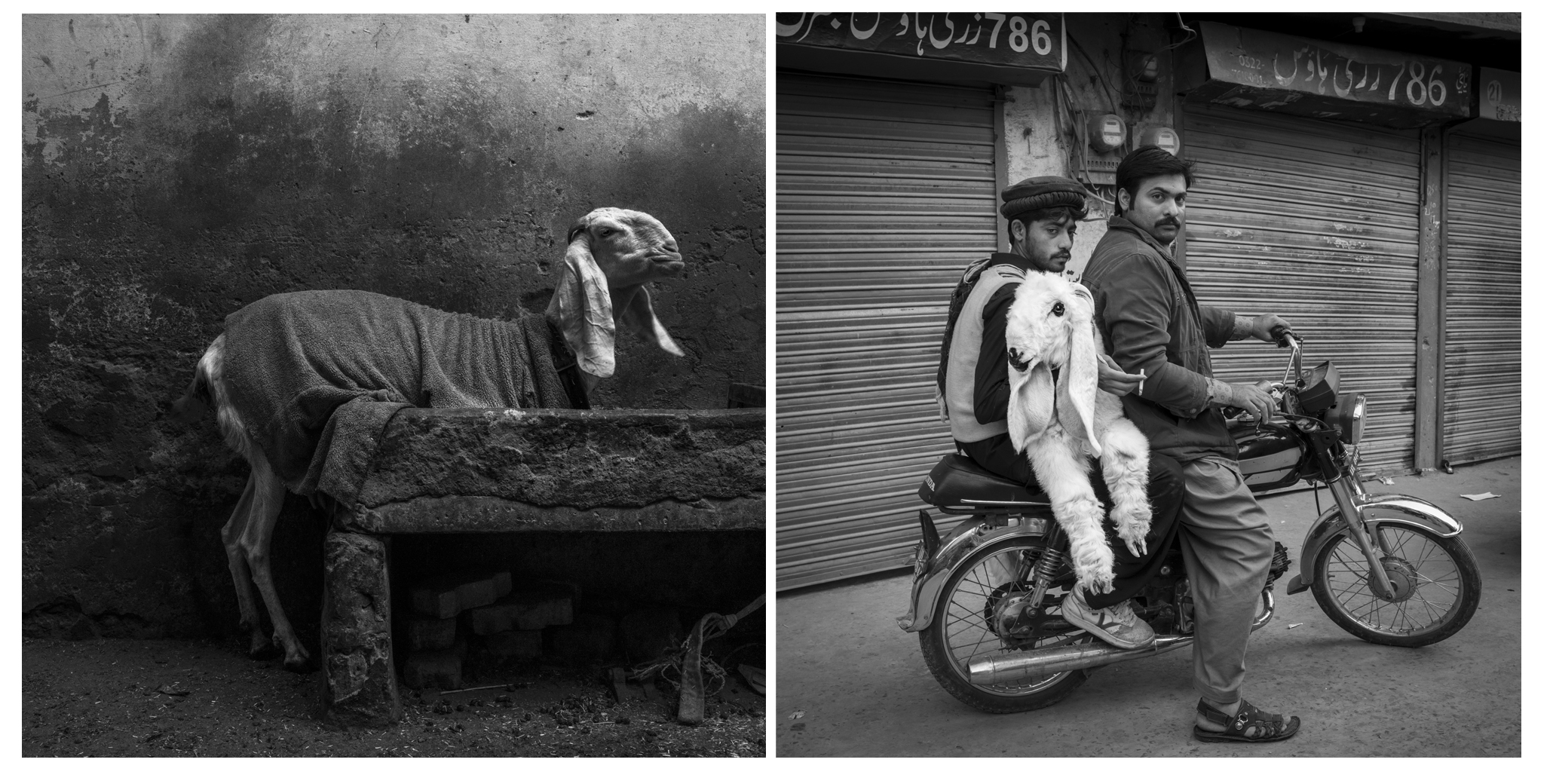 Lahore_2018_D10.jpg