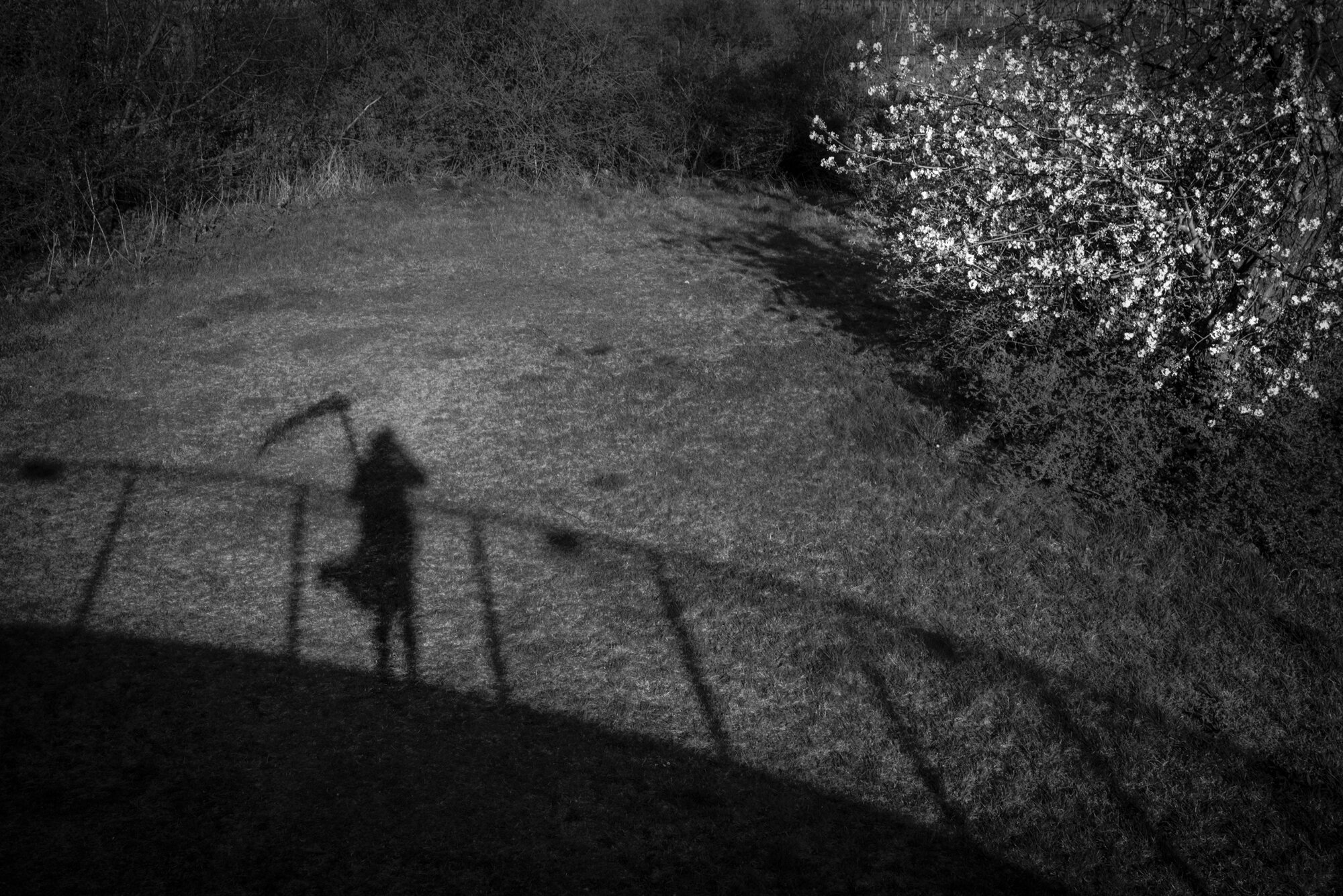 Visual Notes during a Pandemic, Austria, 2020 Self portrait with Wind and Scythe