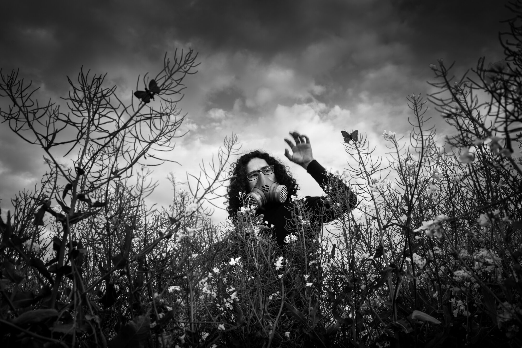 Splendour in the Grass