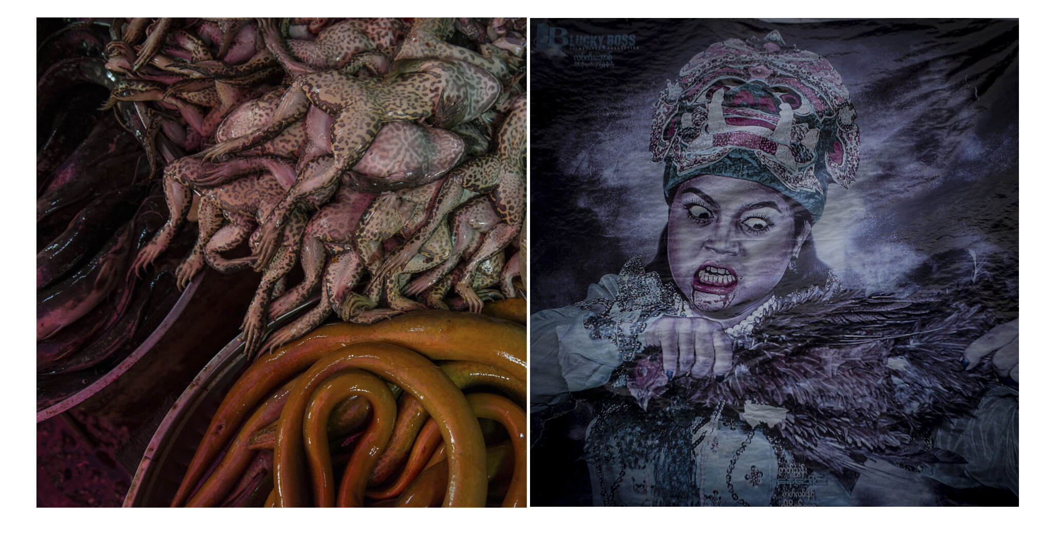 DIPTYCH-YANGON-3.jpg