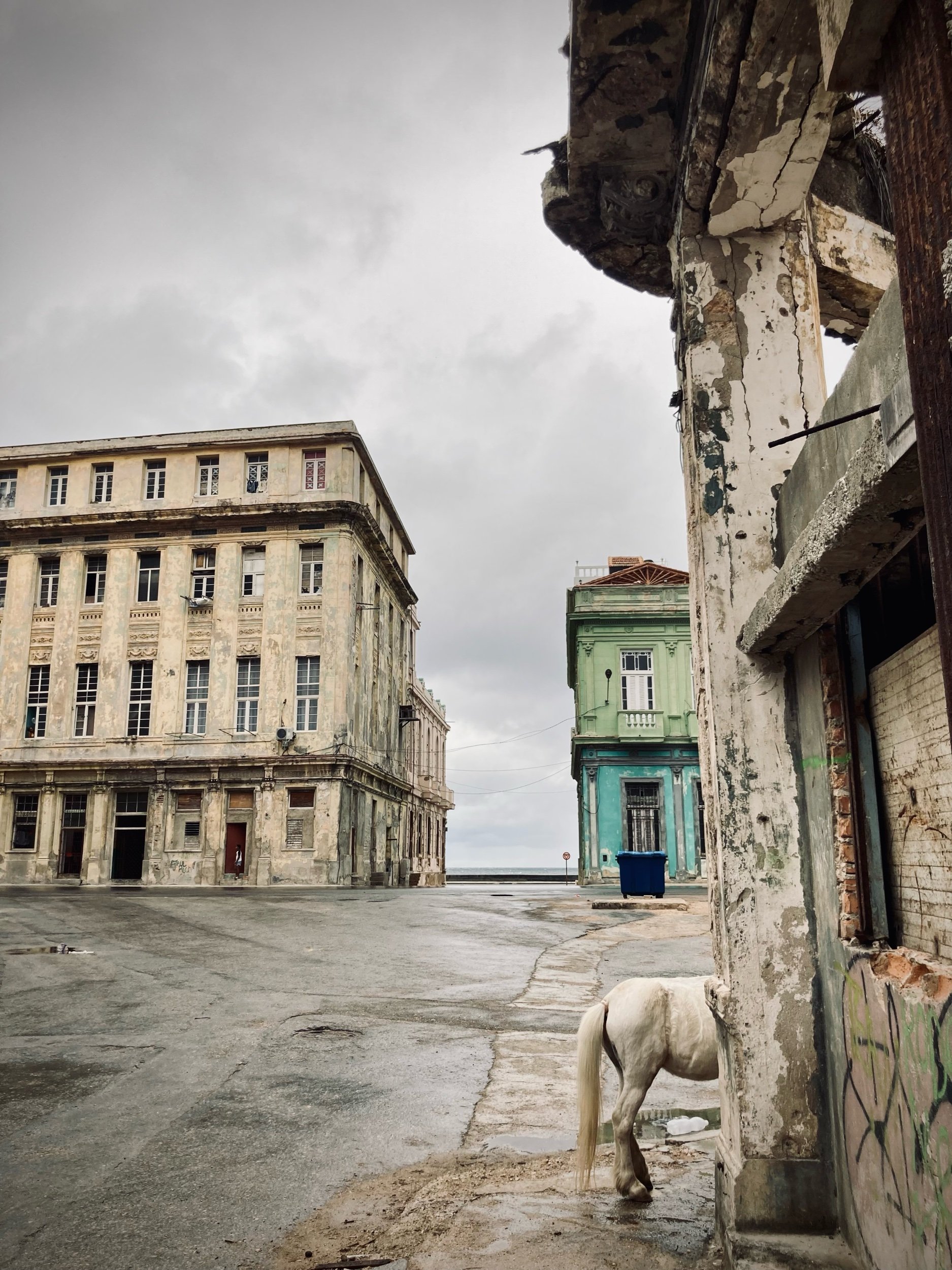 Havana, winter 2022. The city and the spirits are in ruins. The financial crisis and the health crisis have taken their toll. Those who can leave the island. The government devours its children and sends them to prison because they dared to call for