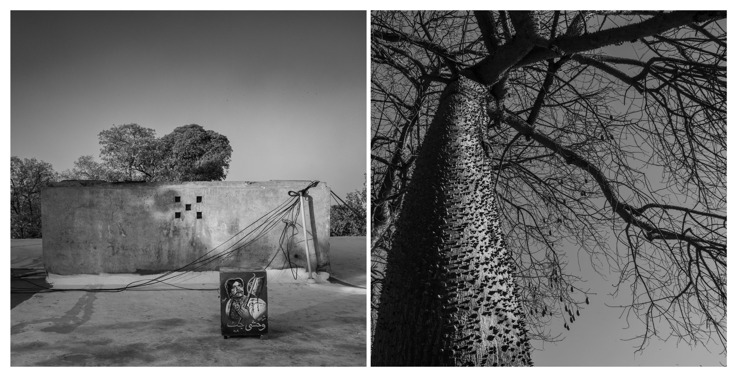 Square_Diptych copy.001 copy 2.jpeg