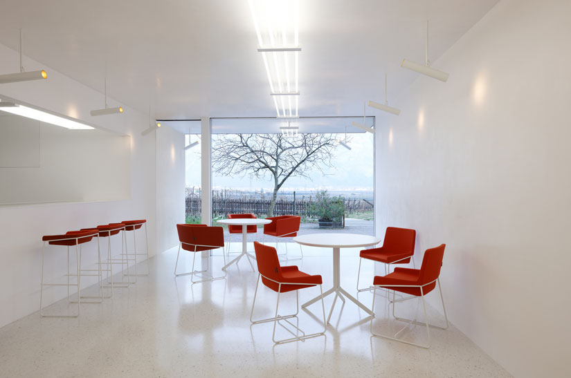 tonic-ambient-chair.jpg