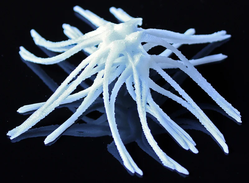 squidButtress.jpg