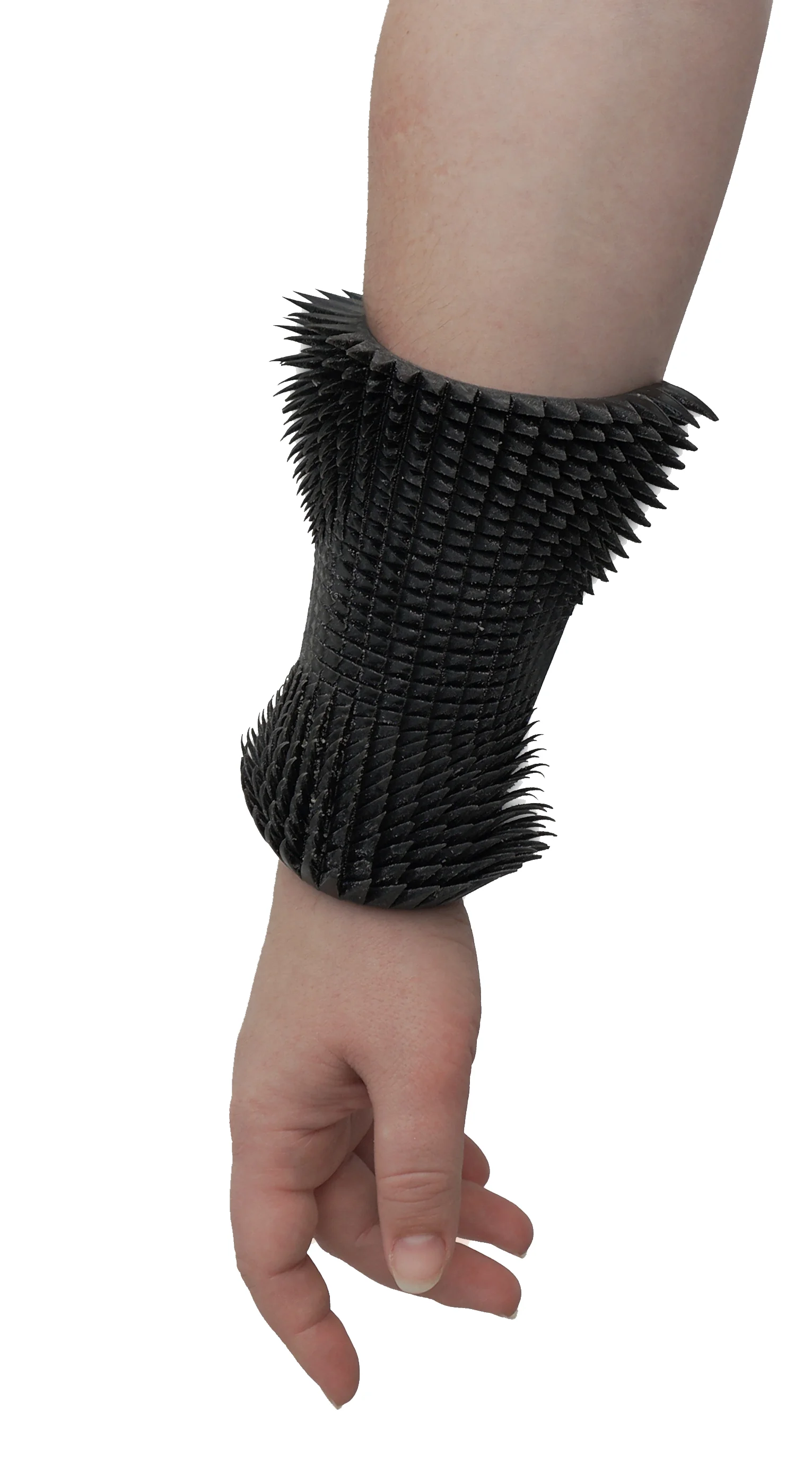 parametric_blank.jpg