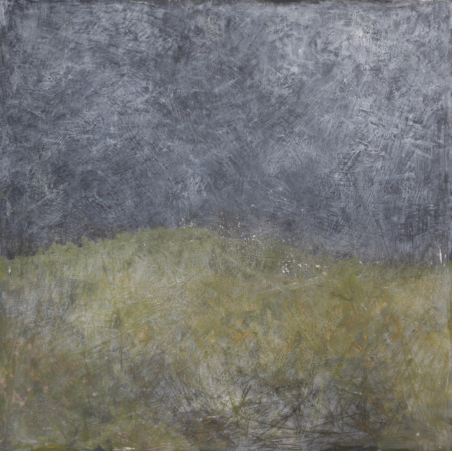 16.Lois Hopwood Midsummer Oil on panel 122 x 122 cm £2000.jpg