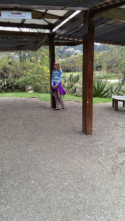 Maeve hanging out in a gazebo.