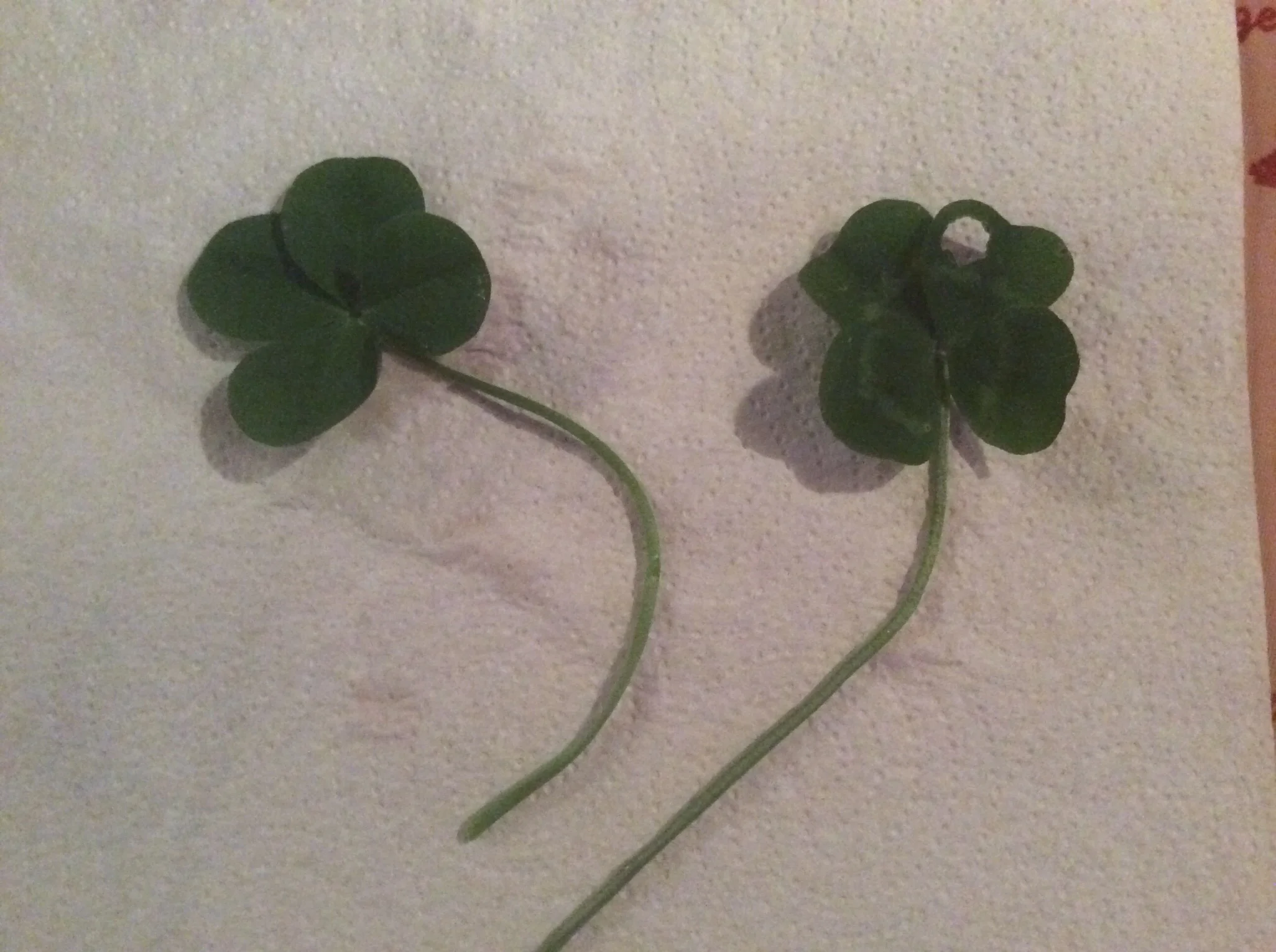 Found a few of these in the clover field....hope it's a good sign for the new year