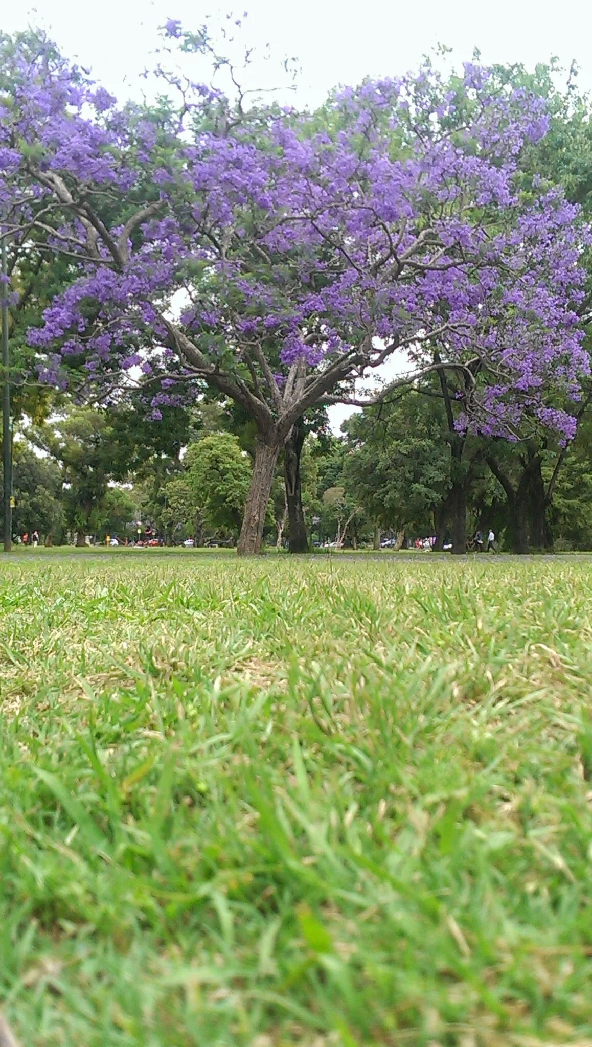Palermo, Buenos Aires