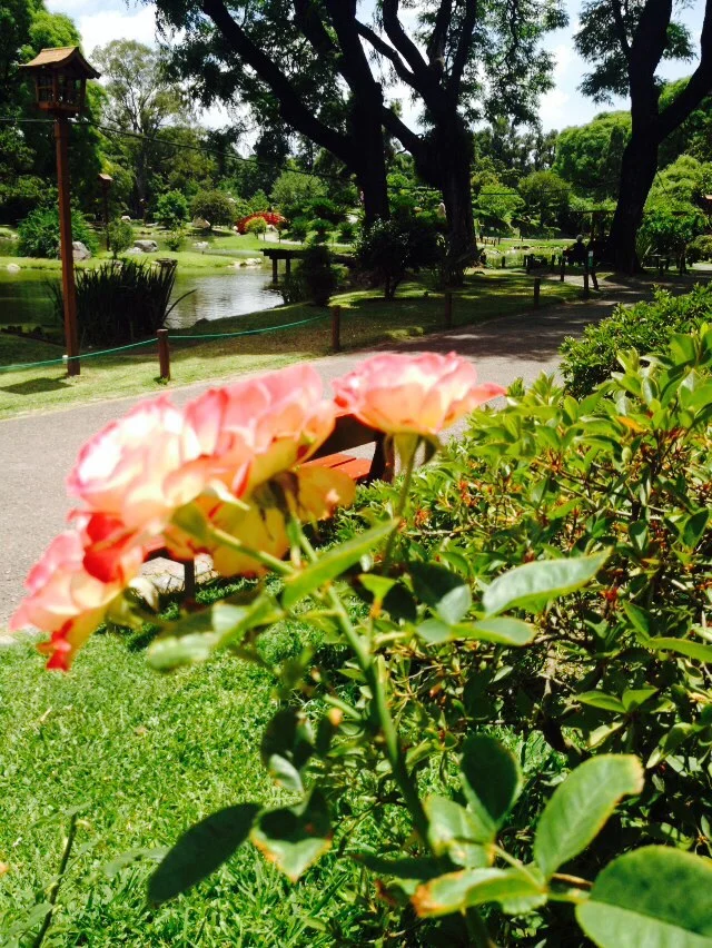 Japanese Garden in Palermo, Buenos Aires