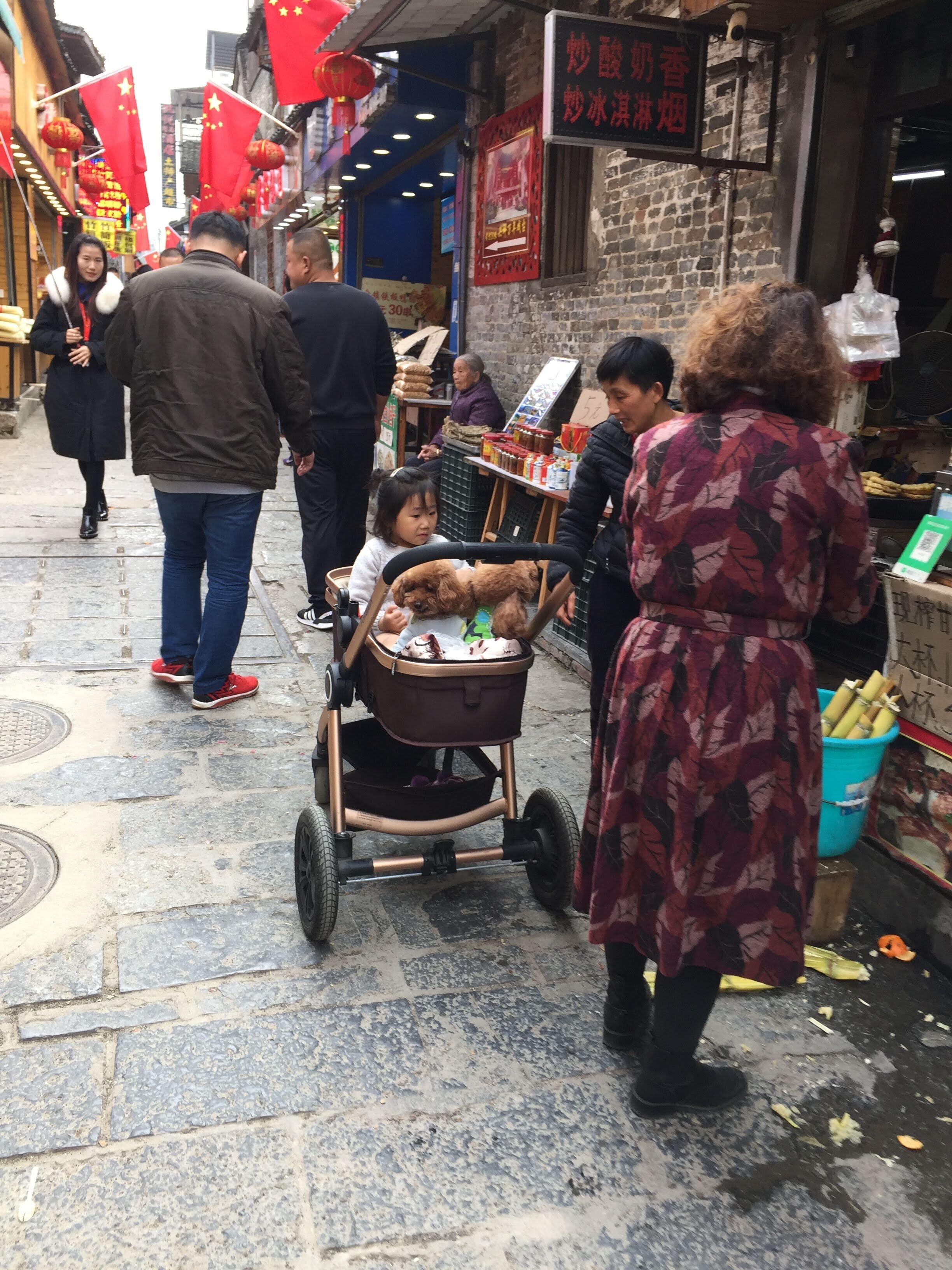  Not sure who the stroller is for….I see a lot of dogs getting pampered here.  