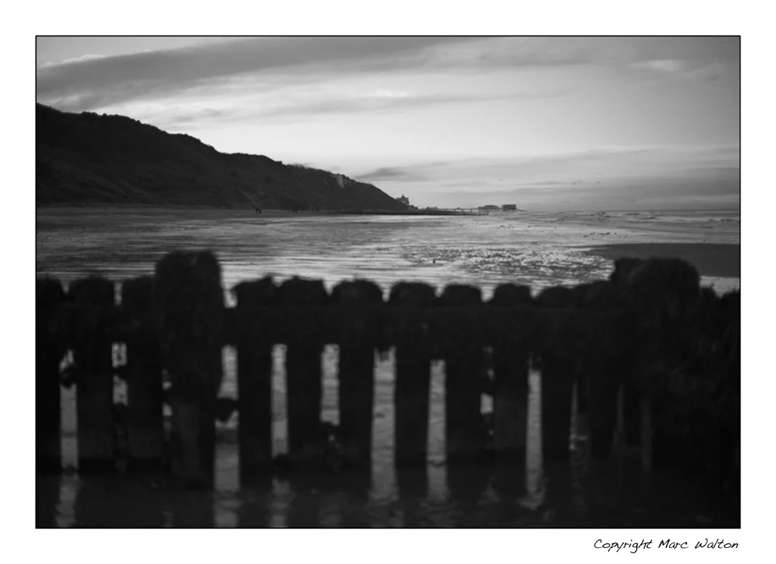 Gorgeous Portraits | Perfect Winter Light