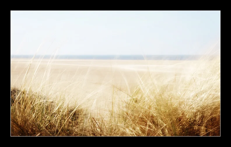 Norfolk Guided Walks