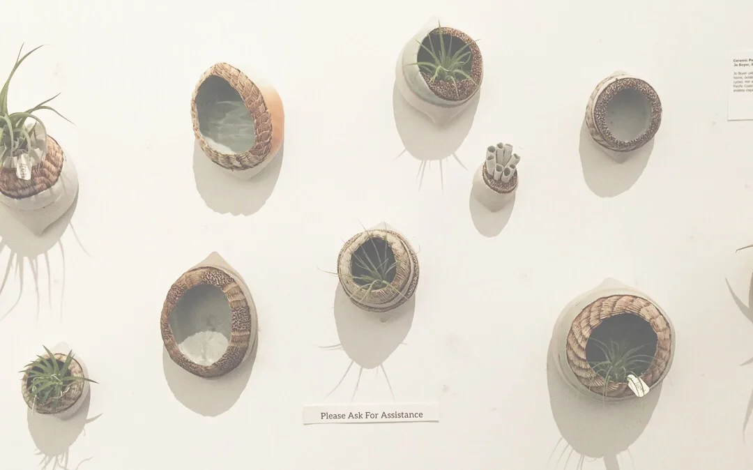 love these pods for airplants. cute and nice for decoration, however airplants aren't the best as #fengshui adjustments because they're spiky! #airplants