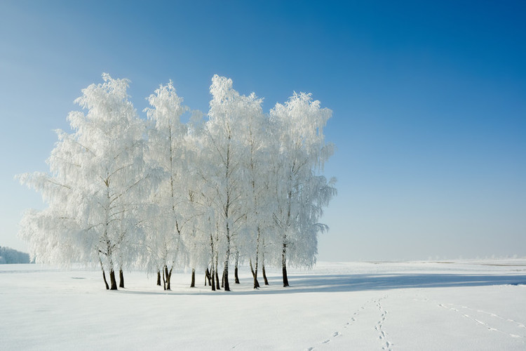 Let Us Welcome the Winter Solstice