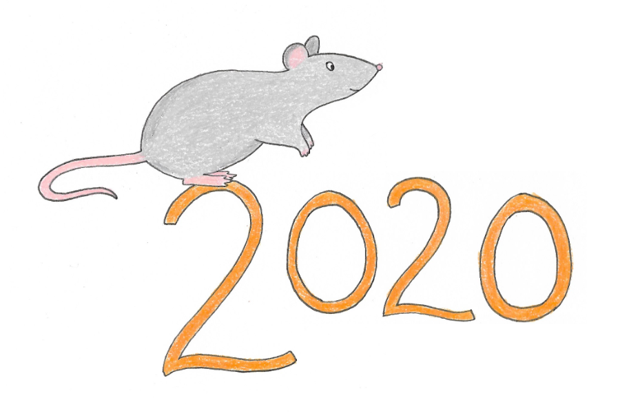 Chinese Zodiac For 2020 Year Of The Metal Rat Anjie Cho