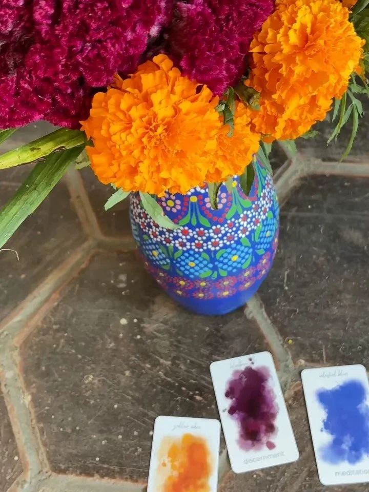 your mindful design Feng Shui color reading