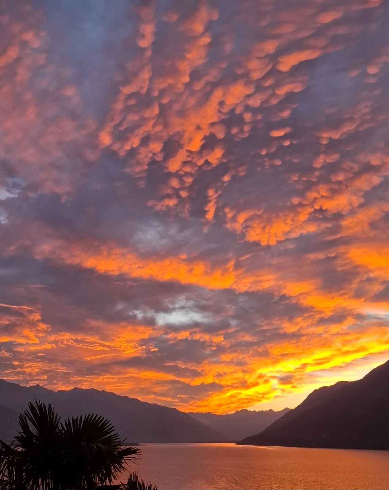 Switzerland In-Person Retreat: HANA &amp; TSUKI Flower &amp; Moon An Ikebana + Meditation Retreat (By Invitation only)