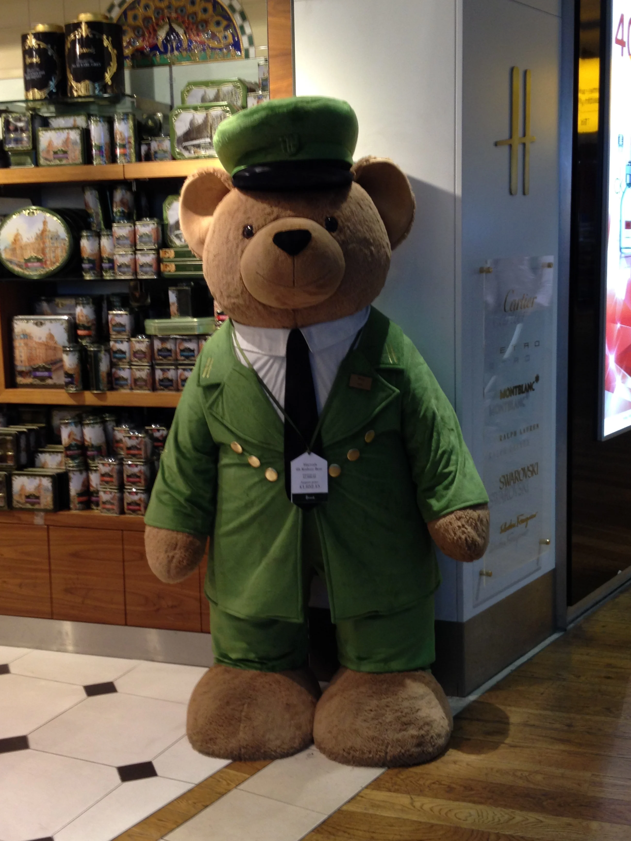 Windows of plasticity in brain development: What’s a neuron gotta do to open one?