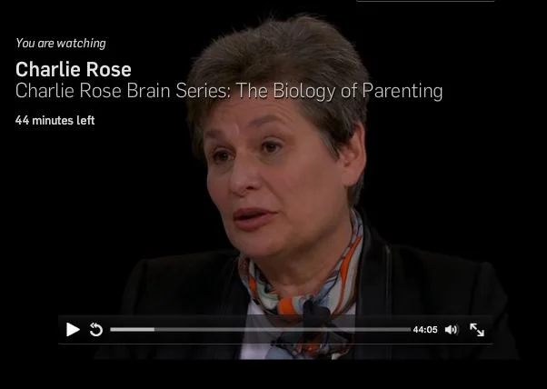 Catherine Dulac Featured on Charlie Rose Show