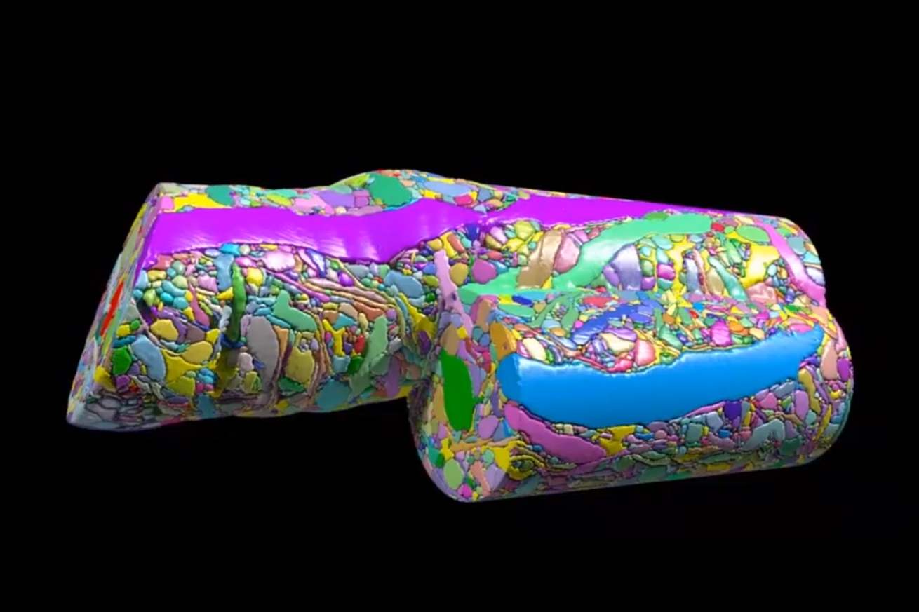 Electron Microscopy-Based Connectomics