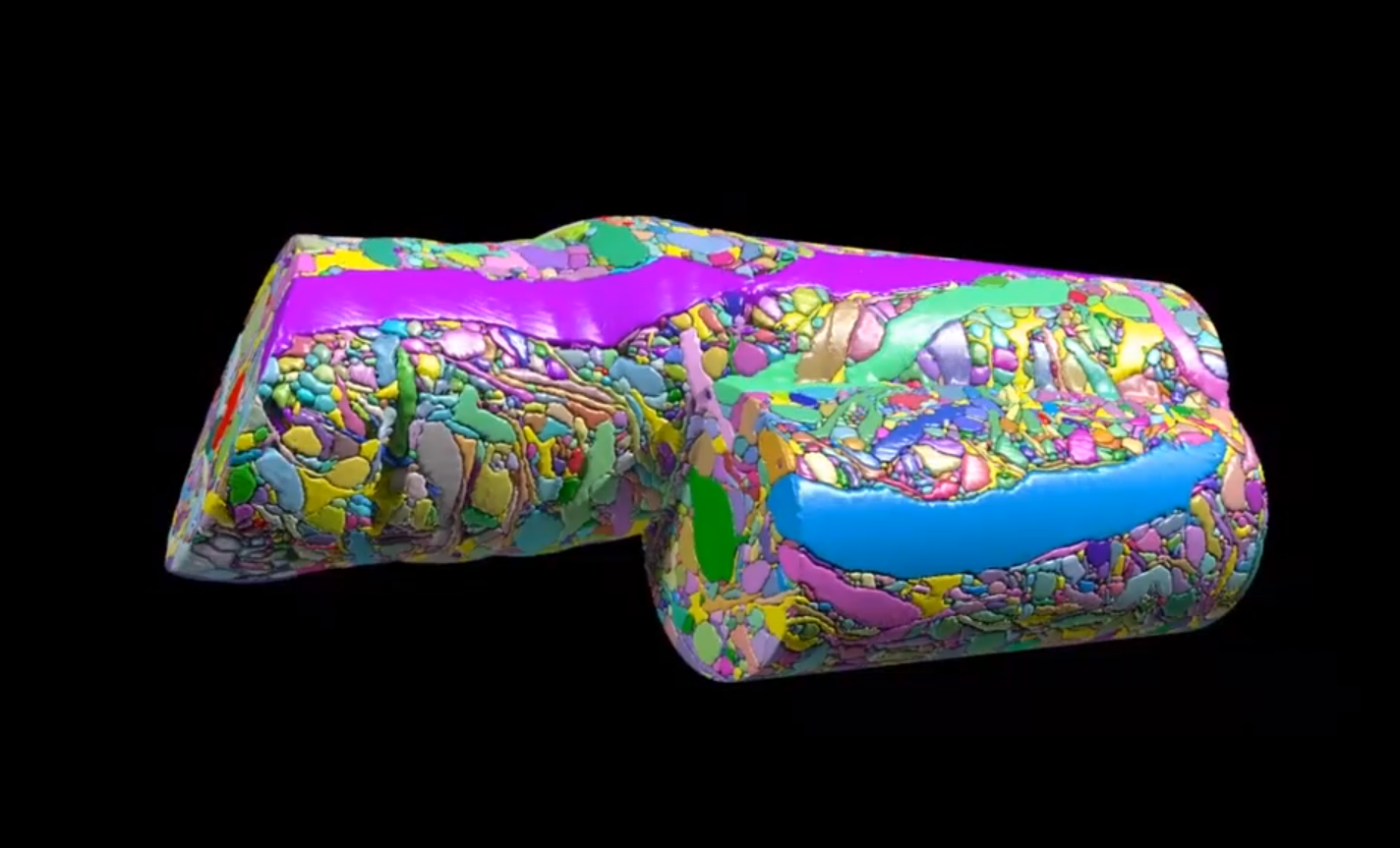View Video Abstract on Cell website, Featuring Jeff Lichtman, MD, PhD, and Daniel Berger, PhD