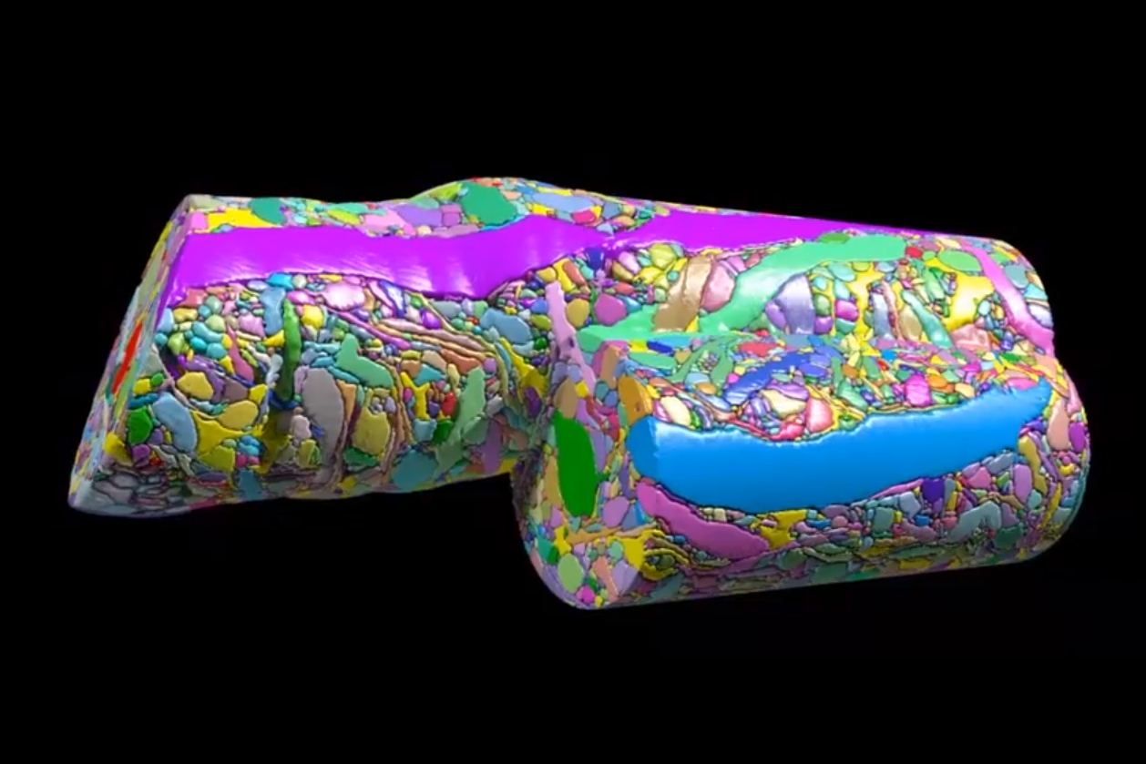  Saturated Reconstruction of a Volume of Neocortex (from Kasthuri et al. 2015) 