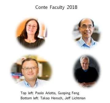 Conte Faculty: (Top Left) Paola Arlotta, Guoping Feng, (Bottom Left) Takao Hensch, Jeff Lichtman