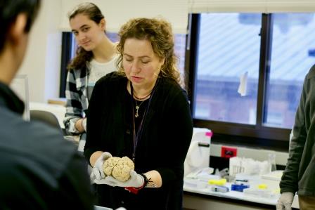 Dr. Sabina Berretta, Harvard Brain Tissue Resource Center at McLean Hospital, handles the brains.